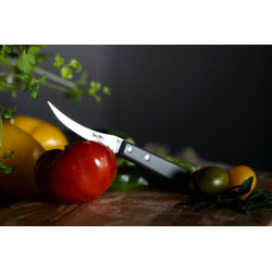 Set 3 Couteaux : couteau d'office, à tomates et éplucheur
